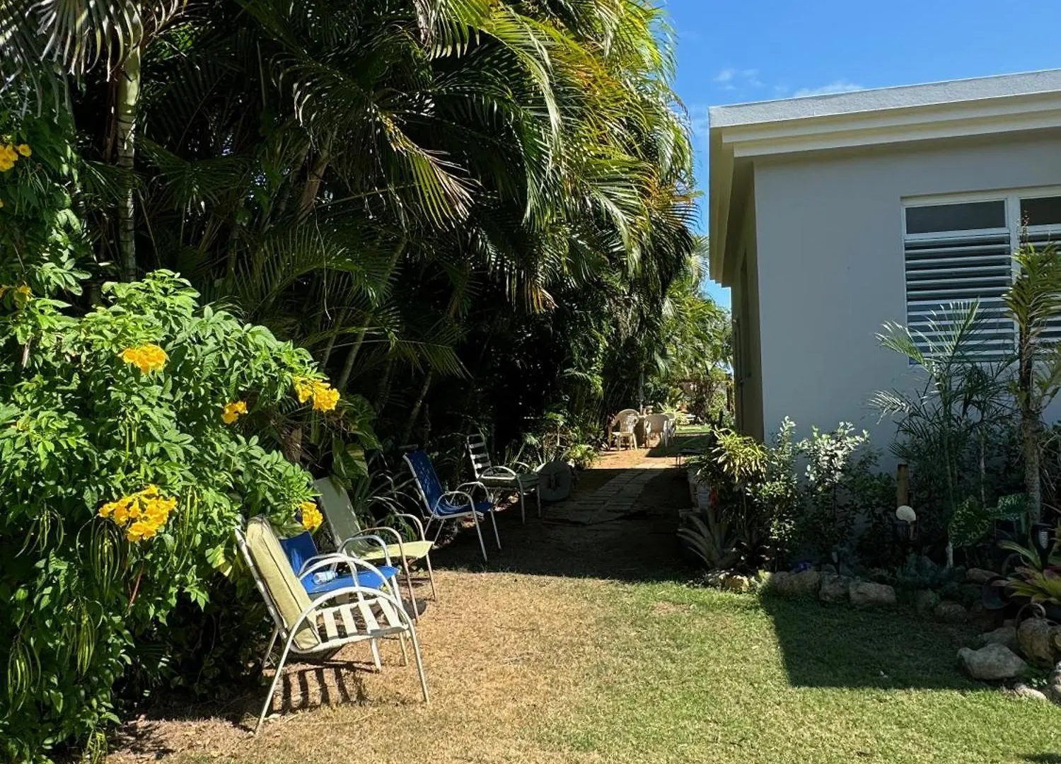 Bungalow Ocean View Wifi Patillas
